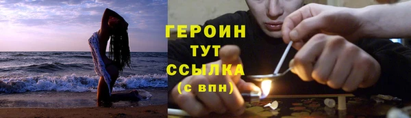 гидра Вязьма