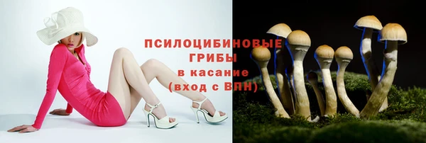 СК Саяногорск