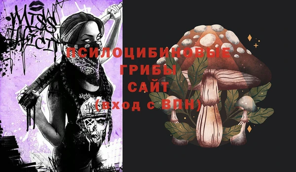 СК Саяногорск
