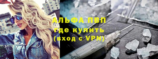 ПСИЛОЦИБИНОВЫЕ ГРИБЫ Вязники