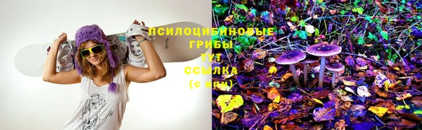 крисы Сафоново
