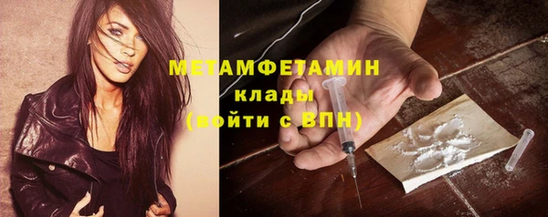 ПСИЛОЦИБИНОВЫЕ ГРИБЫ Вязники