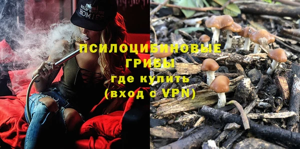 гидра Вязьма