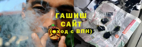 гидра Вязьма