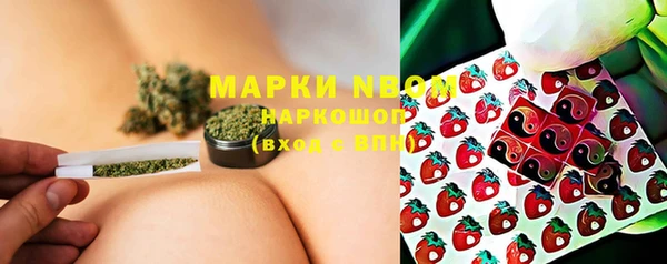 ПСИЛОЦИБИНОВЫЕ ГРИБЫ Вязники