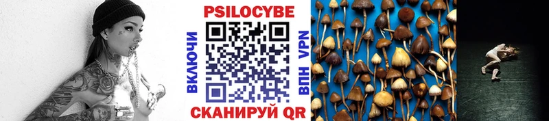 Псилоцибиновые грибы прущие грибы  Остров 